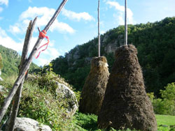 les meules de foin