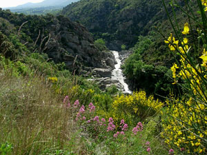 Gorges de la Têt