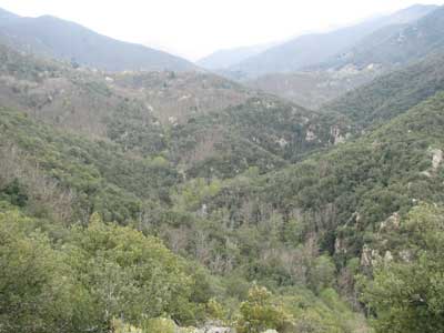 la vallée