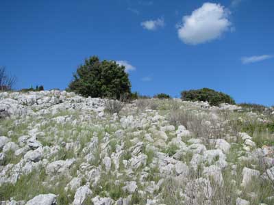 une biodiversité si riche