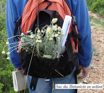 le retour du botaniste