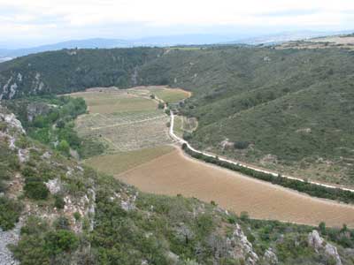 Vue générale