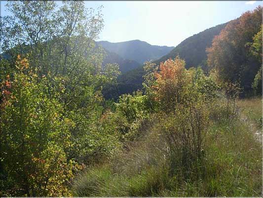 En_automne2189
