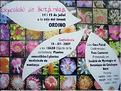 Affiche1578