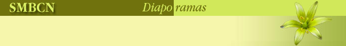 Diap